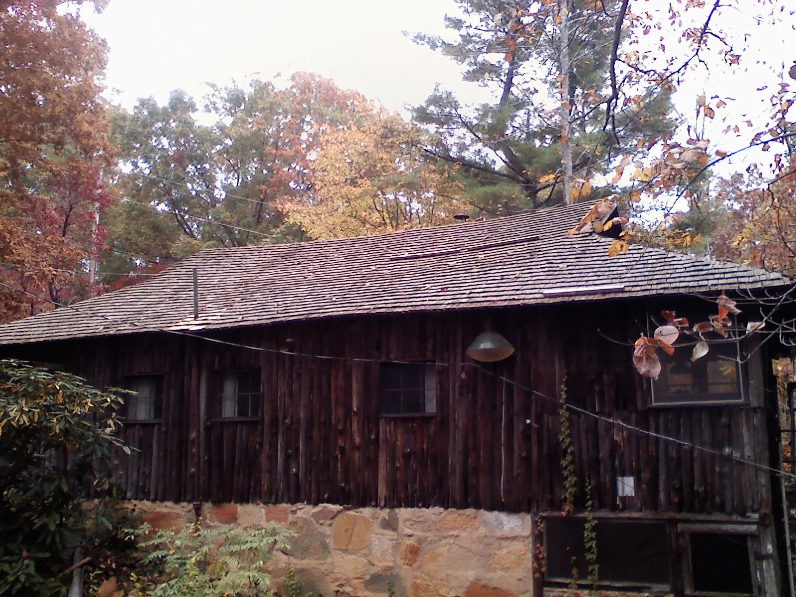 Weathered wood shake roof on a rustic board sided cabin in Dewitt