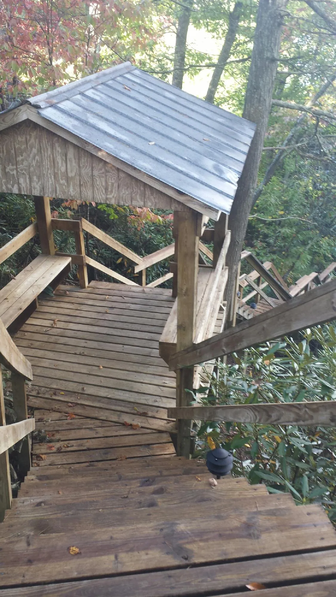 Metal roofed shelter over wooden steps on a wooded walkway — Skylight Repair & Installation work by our crew in Dewitt
